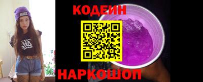 индика Камышлов