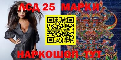 индика Камышлов