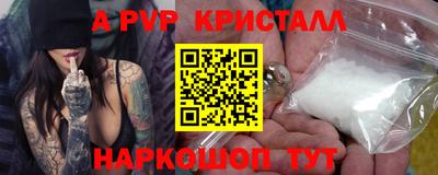 индика Камышлов