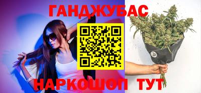 индика Камышлов