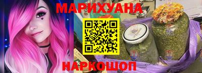 индика Камышлов