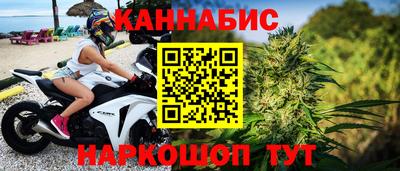 индика Камышлов