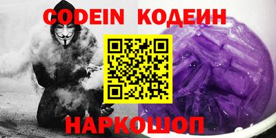 индика Камышлов