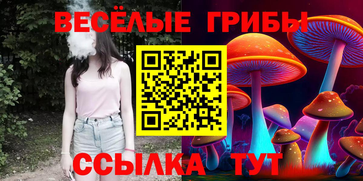 Псилоцибиновые грибы мухоморы Анжеро-Судженск