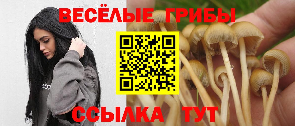 Галлюциногенные грибы Cubensis  Псилоцибиновые грибы ЛСД  Анжеро-Судженск  где продают наркотики  Вход с VPN 